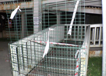Hafriyat kamyonunun damperi üst geçide çarptı