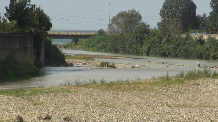 Karadeniz'de bitkisel üretimde 'kuralık' tehdidi