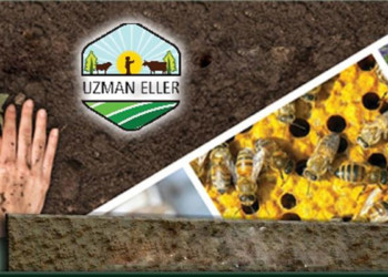 'Kırsal Kalkınmada Uzman Eller' başvuruları başladı