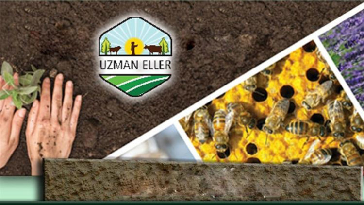 'Kırsal Kalkınmada Uzman Eller' başvuruları başladı