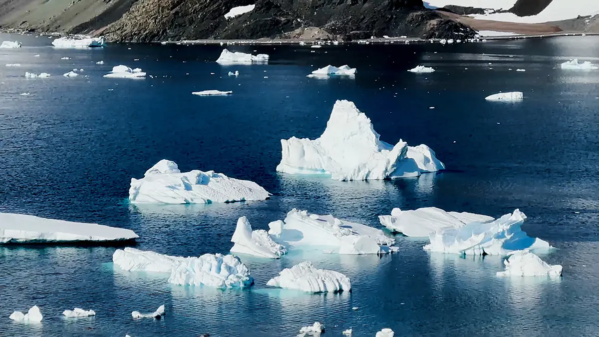 Kutup projeleri birinci olan ogrenciler antarktikadab - yerel haberler - haberton