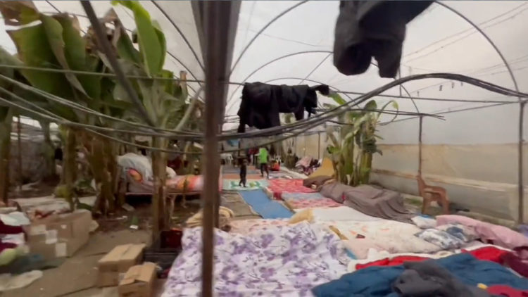 Mahsun Kırmızıgül samandağ'ya yardım istedi