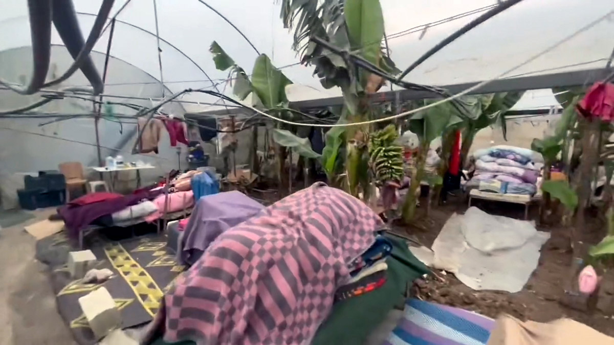 Deprem bölgesinde gönüllülük esasına göre bölgede görev yapan sanatçı Mahsun Kırmızıgül Samandağ'da 200 kişinin 44 gündür yaşadığı muz serasının görüntülerini paylaşarak yardım istedi.