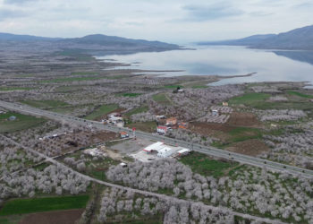 Malatya'da kayısı ağaçları çiçek açtı