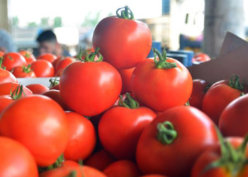 Markette fiyatı en çok artan ürün domates oldu