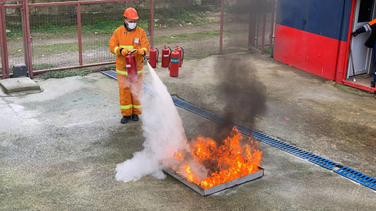 Midye kabuğundan yangın boğucu biyolojik toz üretildi