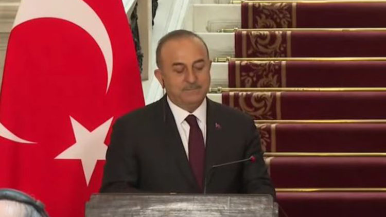 Mısır ile tarihi bağlarımız, ortak kültürümüz var