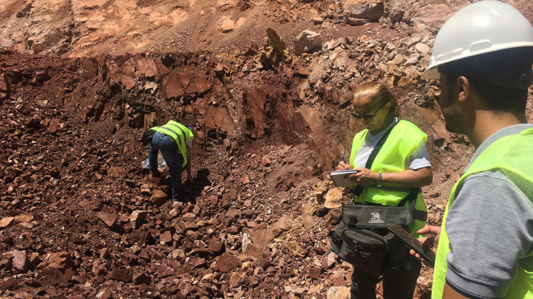 Nadir toprak elementleri ekonomiye kazandırılacak