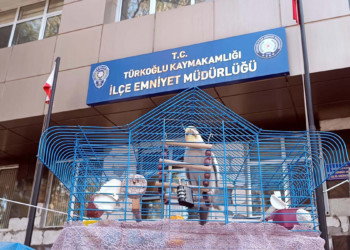 Polis, enkazdan çıkarılan papağana sahip çıktı