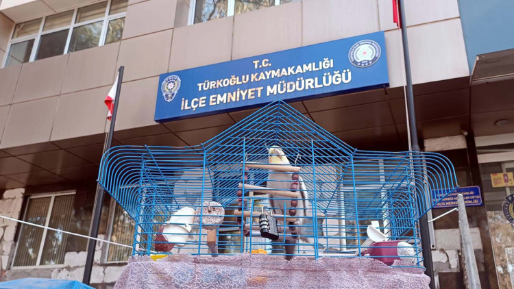 Polis, enkazdan çıkarılan papağana sahip çıktı