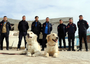 Poyraz ve Köpük, 8 kişinin kurtarılmasını sağladı