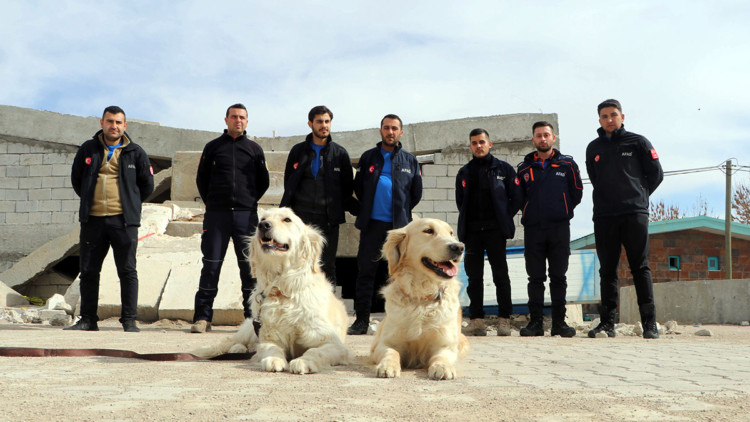 Poyraz ve Köpük, 8 kişinin kurtarılmasını sağladı