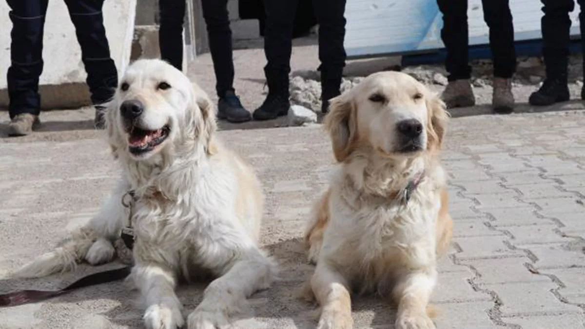 Poyraz ve kopuk 8 kisinin kurtarilmasini sagladiw - yaşam - haberton