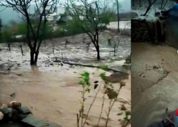 Siirt'te sağanak; bağ ve bahçeler suyla doldu