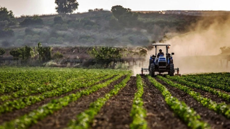 TÜİK: Tarım-ÜFE şubatta arttı