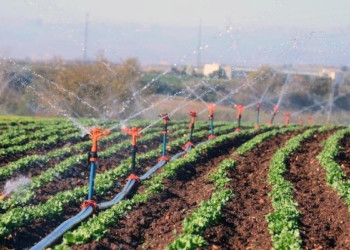 Tarımda suyun 60'ını israf ediyoruz