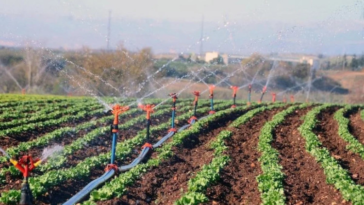 Tarımda suyun 60'ını israf ediyoruz