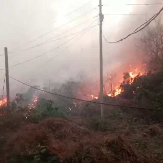 Trabzon ofta ortu yanginij - öne çıkan - haberton