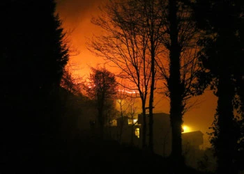 Trabzon'daki örtü yangını söndürüldü