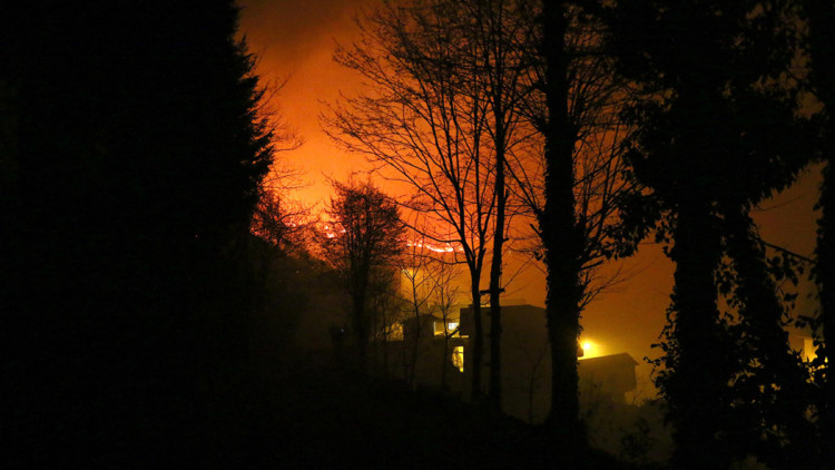 Trabzon'daki örtü yangını söndürüldü