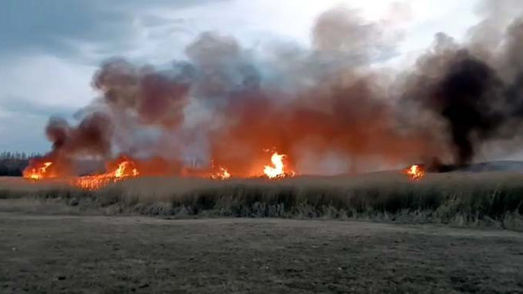 Van'da sazlıkta çıkan yangın, 3 saatte söndürüldü