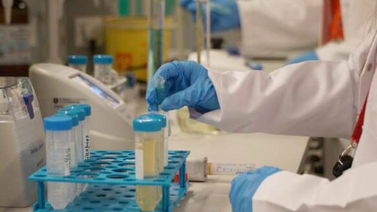 İlaç ve kozmetik alanında yurt dışına bağımlılık azalacak