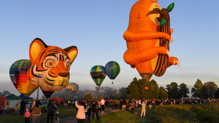 Yeni Zelanda’da uçan balon festivali başladı