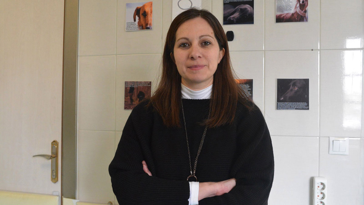 Eğitimli köpeklerin psikososyal desteğe ihtiyaçları var