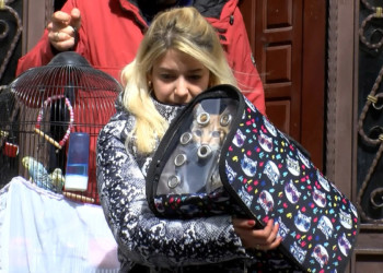 Kaldırımdaki çökme nedeniyle mühürlenen binadan evcil hayvanlar alındı