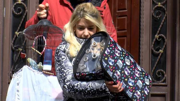 Kaldırımdaki çökme nedeniyle mühürlenen binadan evcil hayvanlar alındı