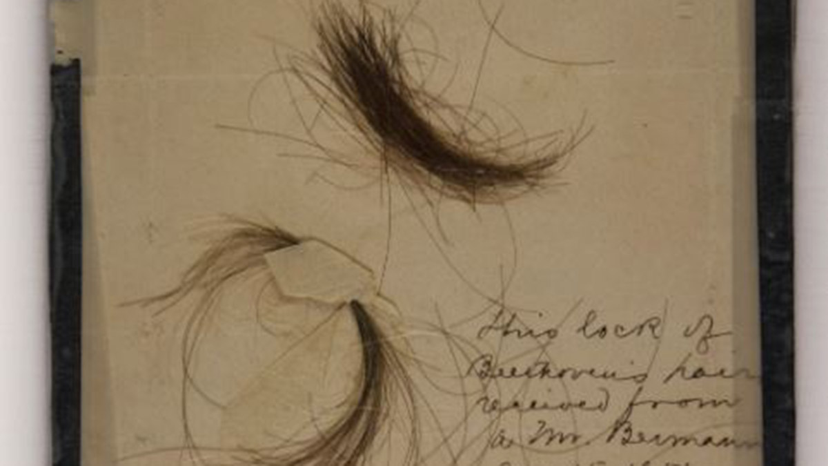 İngiltere merkezli cambridge üniversitesi liderliğindeki bilim insanlarından oluşan uluslararası bir ekip, ünlü alman besteci ludwig van beethoven'ın saç tellerini inceleyerek sağlığı ve genetiği hakkında bilgiler edindi.