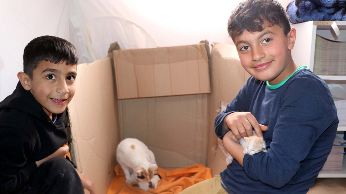 Kahramanmaraş Sütçü İmam Üniversitesi kampüsündeki çadır kentte kedi, 3 yavru dünyaya getirdi. Sakarya'dan gelen gönüllü öğretmenlerin sahip çıktığı, 'Mucize' adı verilen kedi ve yavruları, depremzede çocukların neşe kaynağı oldu.