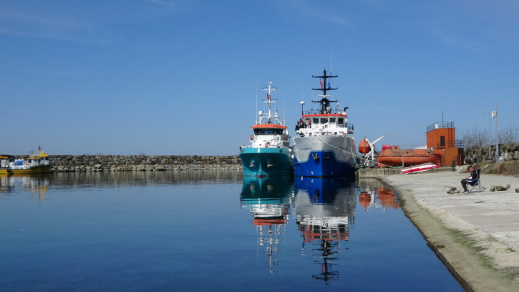 2050'de denizlerde balıktan çok atık olacak