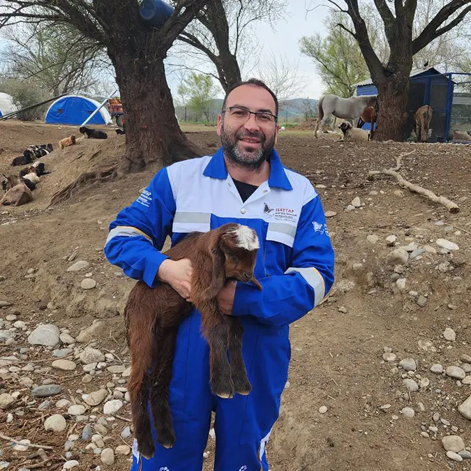 Hatay'da enkazdan çıkarılan keçi ve 2 oğlak, osmaniye’deki emekli hayvanlar çiftliği’nde tedaviye alındı. Gebe olan keçi, 10 gün önce sağlıklı bir oğlak dünyaya getirdi.  