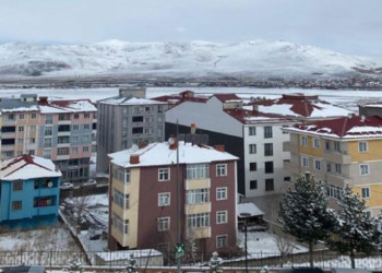 Gülü seven dikenine katlanır