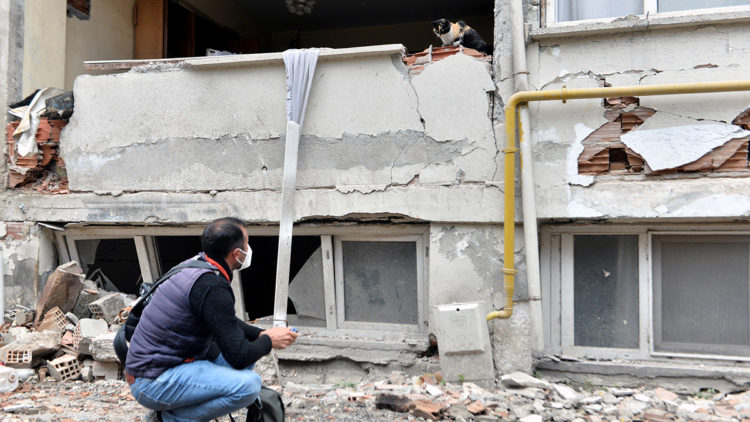 Zarar tespit çalışmaları yapan ekip hayvanları besliyor