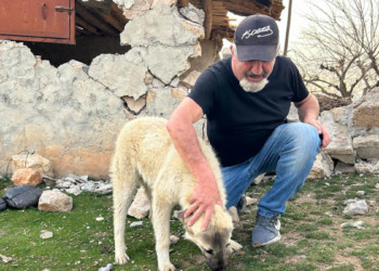 '40 yılın en iyi kalpli insanı' sokak hayvanlarını besliyor