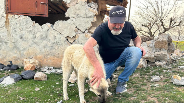 '40 yılın en iyi kalpli insanı' sokak hayvanlarını besliyor