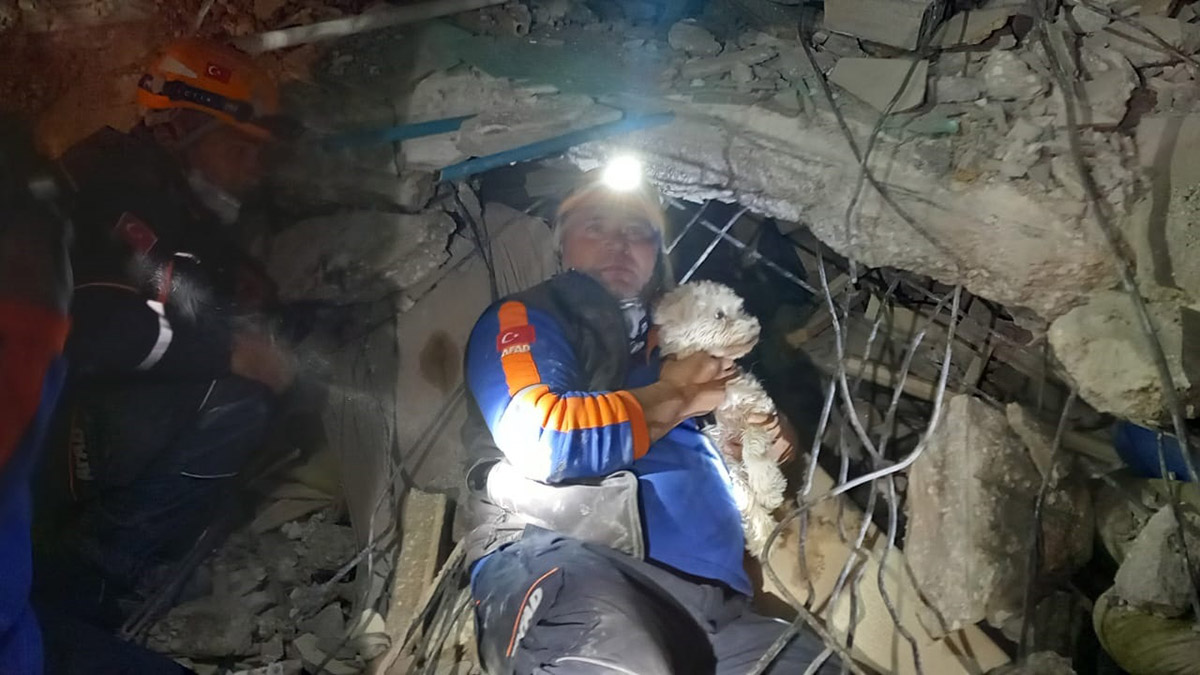 Kabındaki mama ile yaşama tutunan 'Fıstık' kurtarıldı