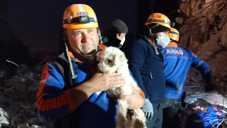 Kabındaki mama ile yaşama tutunan 'Fıstık' kurtarıldı