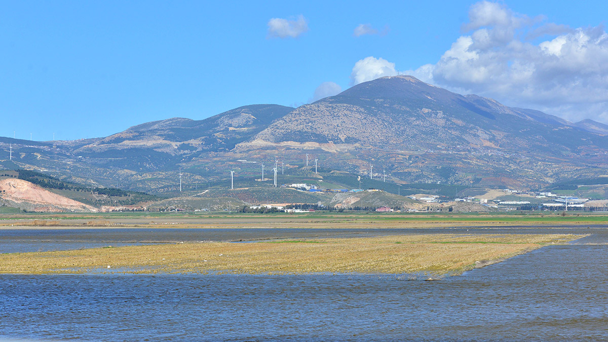 Hatay'da, 1975'te tamamen kurutulan Amik Gölü havzasında hem deprem öncesi yağışlar hem deprem sonrası yer altı su kaynaklarının yükselmesi ile su toplama alanındaki su miktarı arttı; birçok yol ve tarla su altında kaldı.