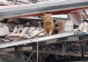 Malatya'da ağır hasarlı 7 katlı bina yıkıldı