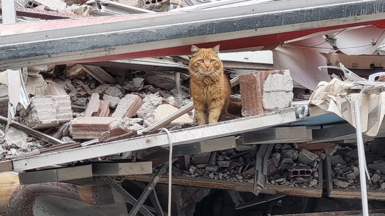 Malatya'da ağır hasarlı 7 katlı bina yıkıldı