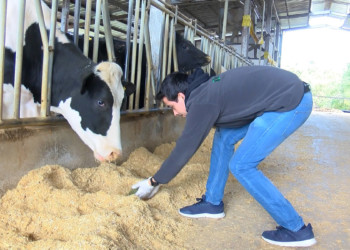 Azolla bitkisi ağır metallerden arındırılıp yem haline getirildi