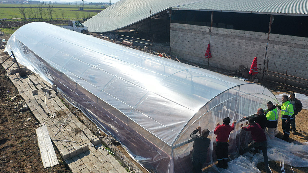Çadır ağılda hayvanlar soğuktan korunuyor