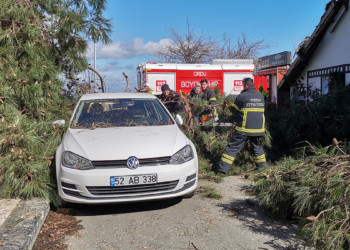 Ordu'da fırtına; Ağaç arabanın üzerine devrildi