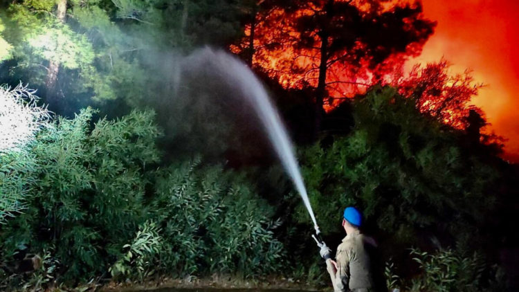 Orman yangını sezonu tüm yıla yayıldı