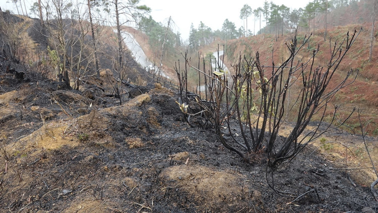 Örtü yangınları lodos nedeniyle sıklaştı