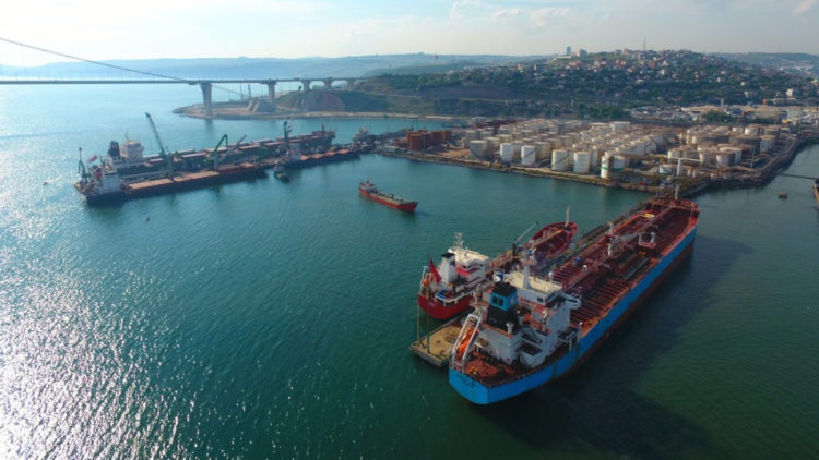 Rusya'dan 'Karadeniz Tahıl Girişimi Belgesi' süresinin uzatılmasına destek