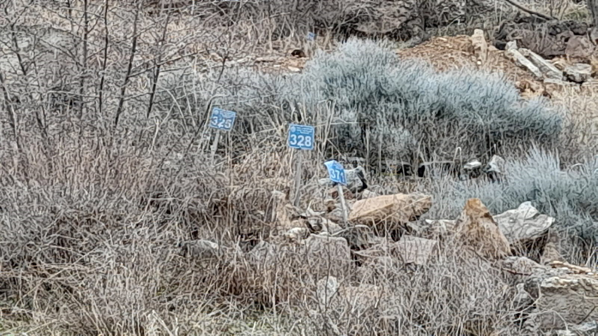 Büyük göçün sona yaklaşıldığı Yusufeli'nde, uyarı ve hoparlörlerden yapılan anonslara rağmen yeni yerleşim alanlarına nakledilmeyen sahipsiz mezarlar suya gömülecek.